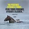 user239780376776