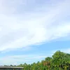 musicnoz