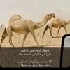 appleuser969635414