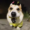 baocutchan_chan