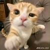 aw_0909