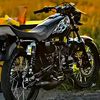 zzr6354