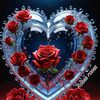 user71025452368356