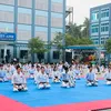 hng.kng.karatedo