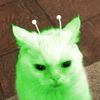blorp_cat