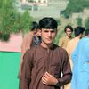 muhammadilyas439439