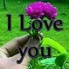 yuusuf.xasan363