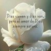 andreaayde.bustam