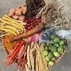Thảo dược núi rừng