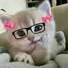 carin.jiahnna.esp