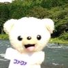 kiee.33