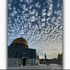 enasghaith6