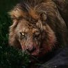 .ansary18