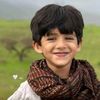 qarijan007