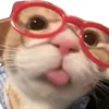 cuu.co.canh4
