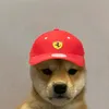 wuaglocc_zf