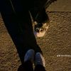sky_angle_39