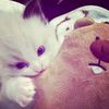 luvv.kaii10