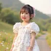embevietnam58