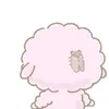 nonoyusu14