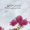 gameel4985