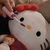 danii_504q
