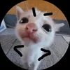 lamtayy_9.7