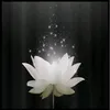 user8119684145611