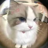 khanh.com213