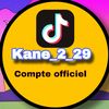 kane_2_29