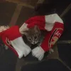 karolus_wiselka1
