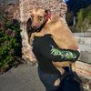 k9photography0
