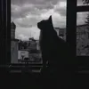 quy.75_211