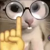 tunxautrainhatthegioi