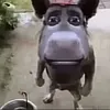 bbeyb3s3