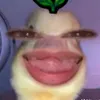 itsurgf_el