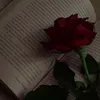 book_moonlight8