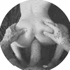 nio.algerean.f.pe