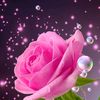 user15780381811415