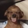 ️
