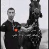 mahmoudjamal5910