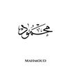mahmoud.ul.hassan0