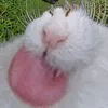 botinok_hd