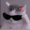 your_picchi_tah_07
