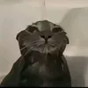 krimzon_gamingtiktok