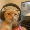 notificare_tiktok_094