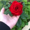 user8757271811461