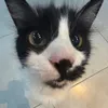 savannah_ilyboots