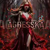 agresskapubg