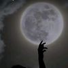 mymoon905